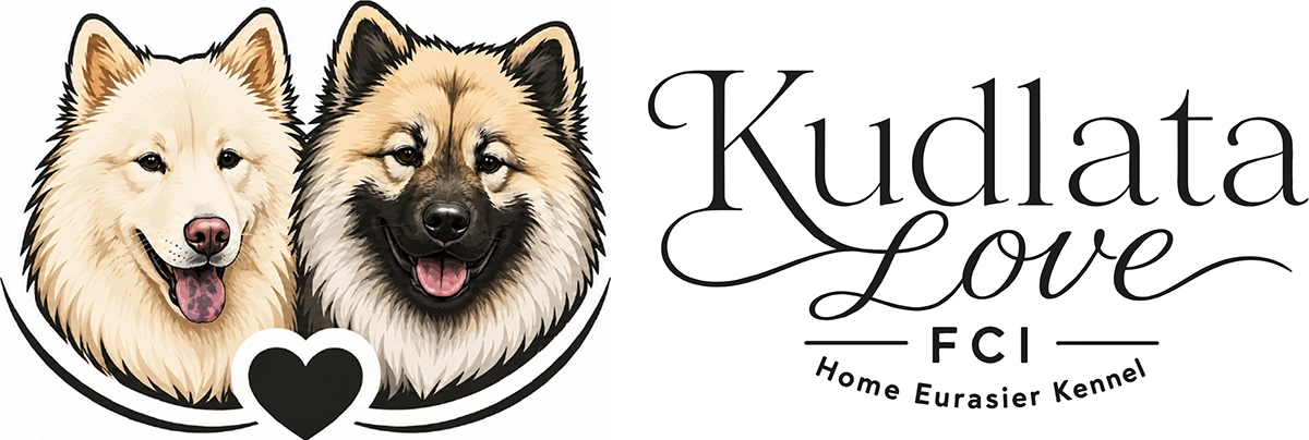 Kudlata Love FCI, hodowla Eurasier Poznań